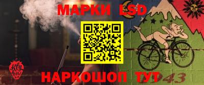 альфа пвп Беслан