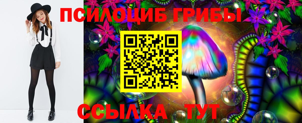 Белая Калитва  Псилоцибиновые грибы Psilocybine cubensis  Вход с VPN 